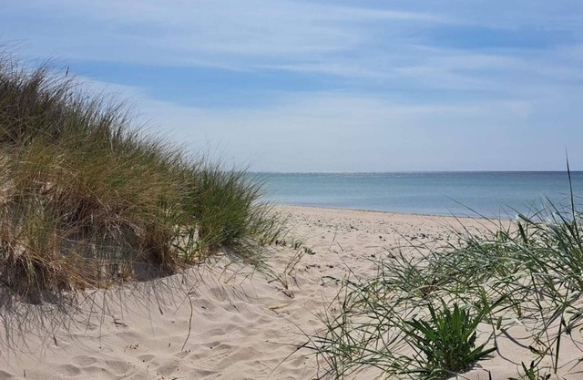 4 star holiday home in GOTLANDS TOFTA