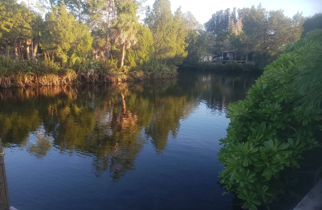 4BR Home with Private Dock on Warm Spring Fed Canal with Gulf Access