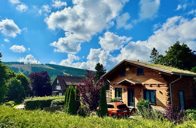 5 * log cabins with sauna, fireplace, terrace, barbecue etc. in alpine chalet style