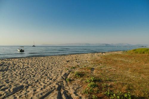 50 Steps From the Sea