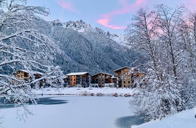 65m2 apartment, sleeps 6/7, lake and Mont Blanc view in * spa residence