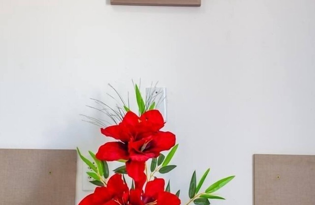 (85) 99937. 6545 (Zap) PRIVATE ACCOMMODATION AND FLATS. GET US!