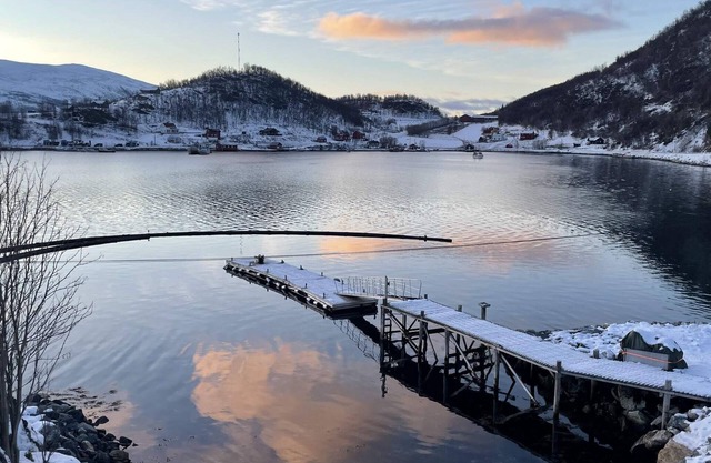 9 person holiday home in Korsfjorden