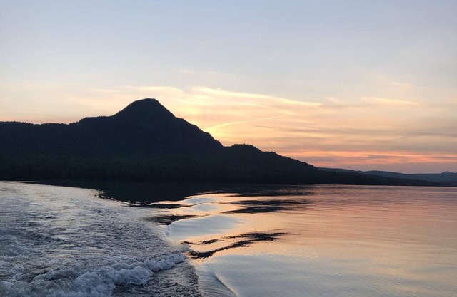 A cabin in the woods like no other!