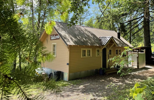 A Cabin in the Woods