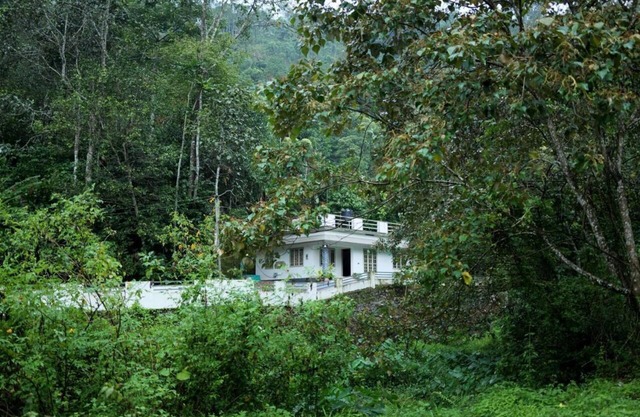 A calm and cosy three-bedroom house in the mountain valleys near Munnar.