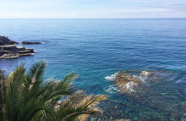 A few steps from the sandy beach welcomes you this cozy apartment.