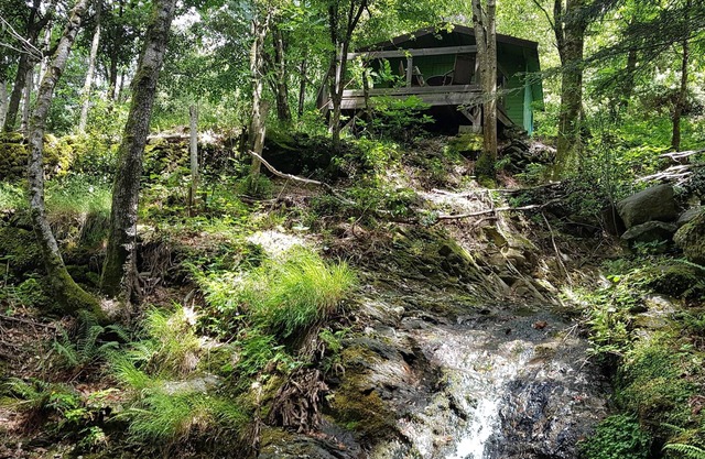 a hidden hut with a terrace overlooking the forest