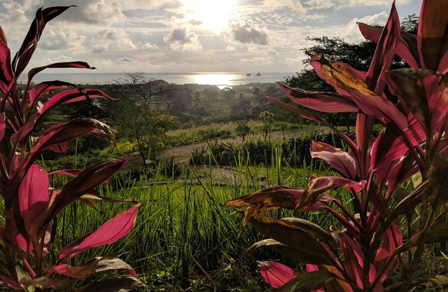 A hillside jungle oasis with amazing panoramic views of the Pacific Ocean!