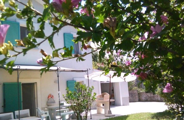 A house in the woods of chestnut trees