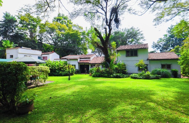 A peaceful escape in Nairobi’s greenest neighborhood. Near UN and Karura Forest.