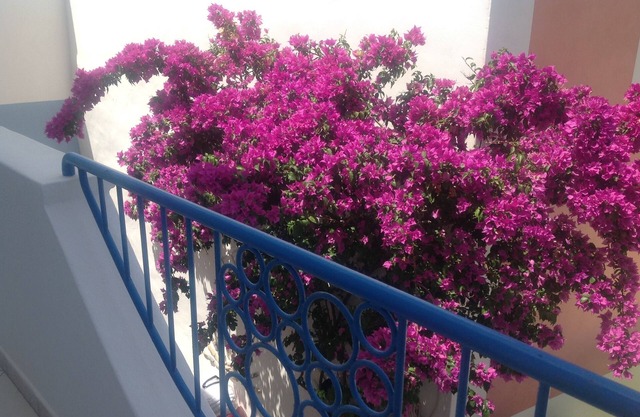 'A Ponza da Giuseppina' holiday home 3892765512