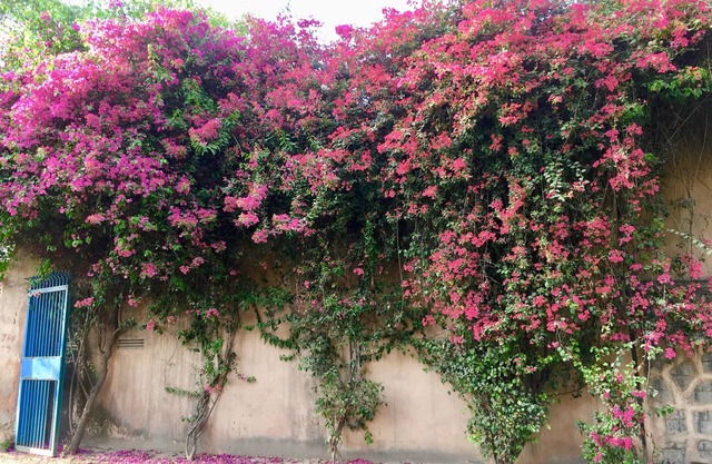 A Private Room In New Delhi's Luxurious Villa Home.