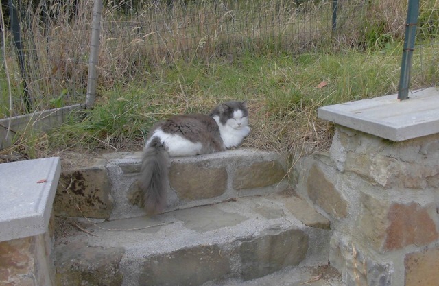 A quiet place in Umbria