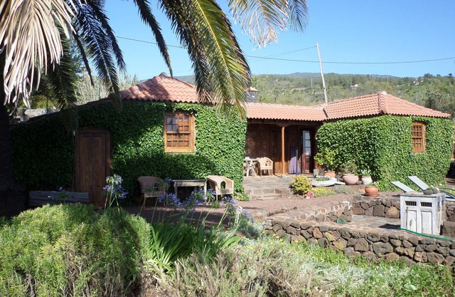 A real Canarian house created in the heartwood of the Canarian pine