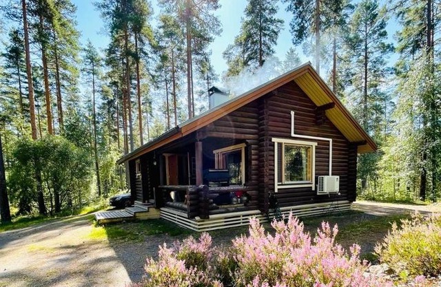 A Unique cottage with sauna in a pine forest
