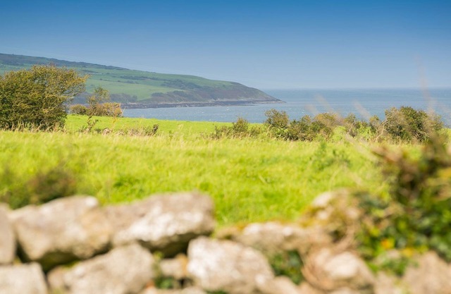 Aber - a dog that sleeps 5 guests in 3 bedrooms