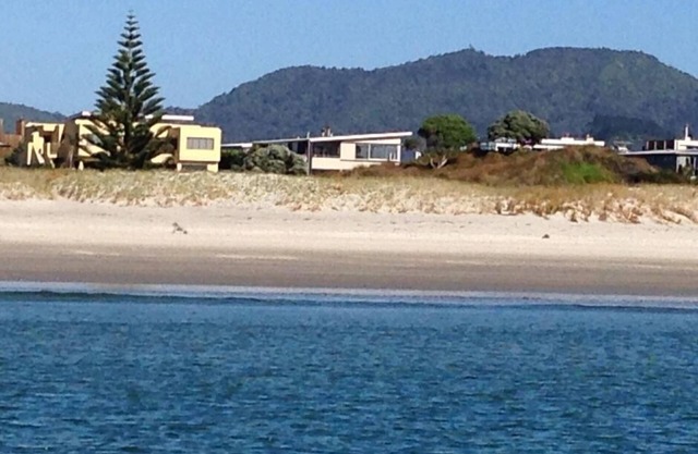 Absolute Beachfront Luxury Holiday House-Omaha