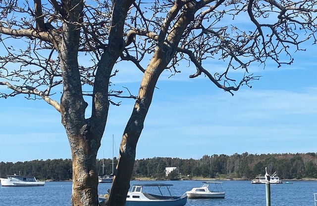 Absolute Waterfront - Lorsens On The River - 3 x 2 bedroom cabins