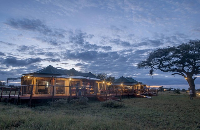 Acacia Seronera Luxury Camp