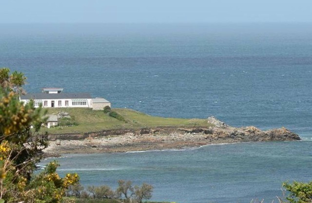 Adjoining studio at semaphore with internet and parking, pets allowed