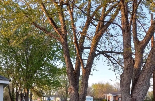 Adorable, Small, romantic and cozy cottage with art studio