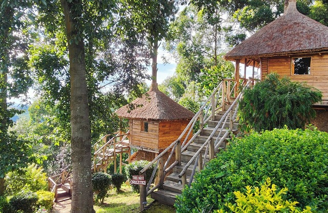 Agandi Uganda Eco-lodge