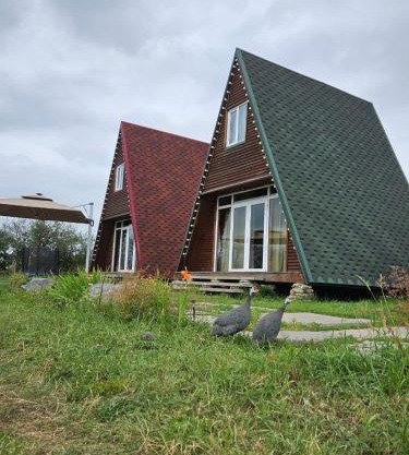 Agarak village resort