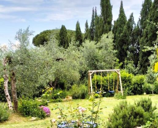 Agli Olivi di Marciano