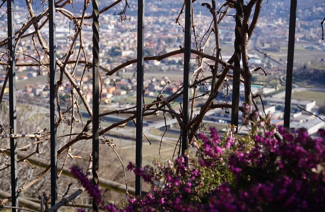 Agritur Maso Carpené