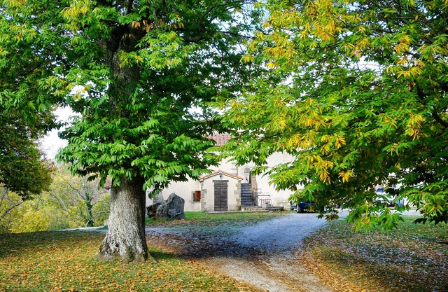 Agriturismo Bio I Rondinelli