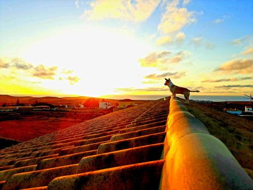 Agriturismo El Bounty1