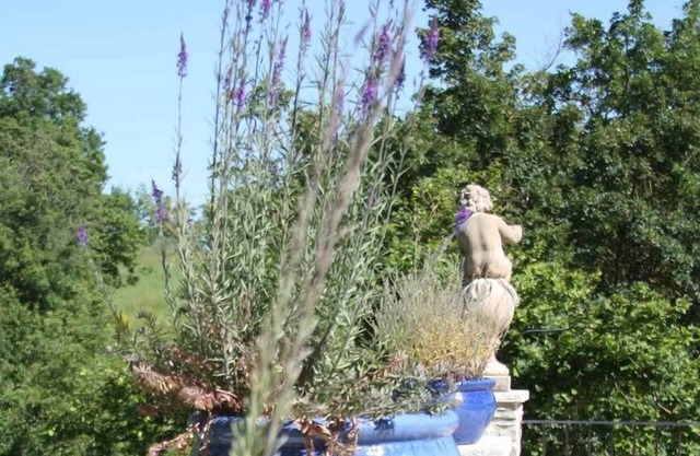 agriturismo il capannino