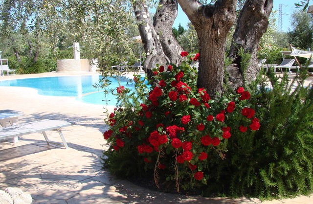 Agriturismo I Tesori Del Sud