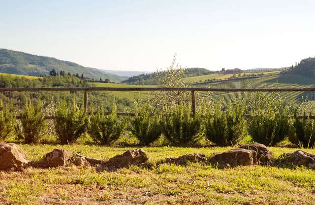 Agriturismo Marchesi Gondi - Poggio Martini