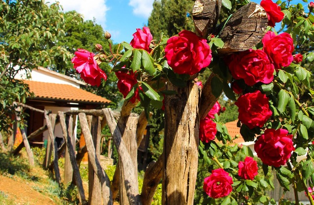 Agriturismo Millefiori