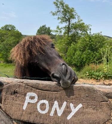 Agriturismo Podere Asche