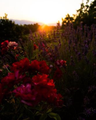 Agriturismo Podere Luisa