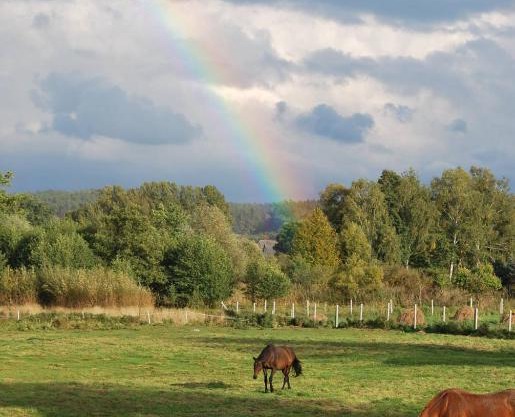 Agroturystyka Mętno 18