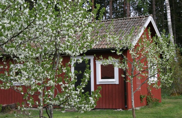 Ahornfarm Håkannäs