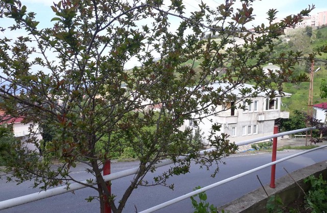 Akcaabat Village House