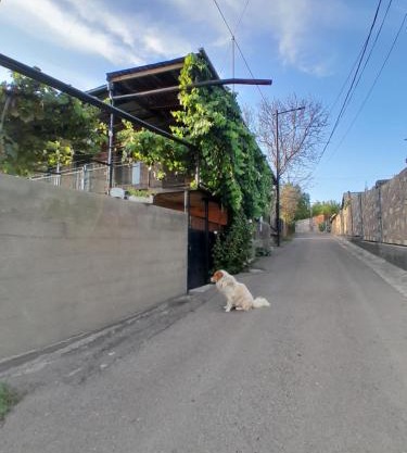 Akhaltsikhe hotel “Sunny House”