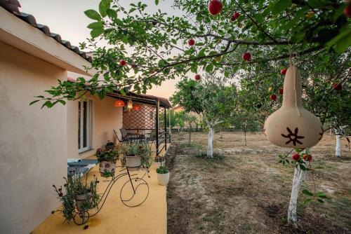 Al Mare Family Suite