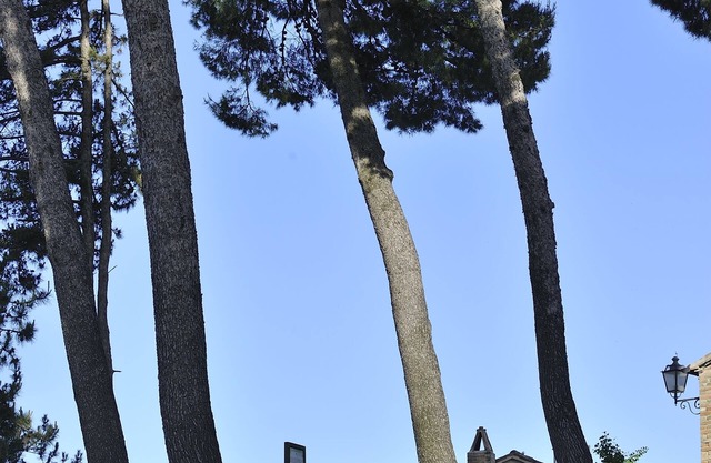 Albergo Diffuso Borgo Montemaggiore