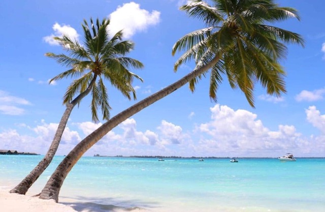 Alexmarie Holiday Home (3) nr Candolim Beach