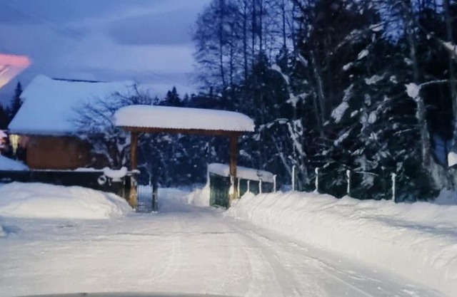 Alexys Top Residence Predeal