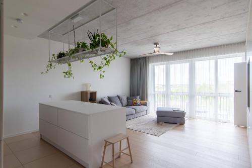 Algirdo central stay
