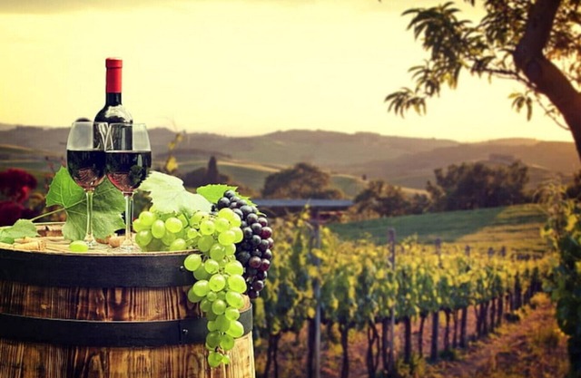 Alma Retreat/Heated In Ground Pool/King Beds/Family/Pet Friendly