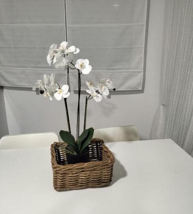 Alojamiento las Dunas alto