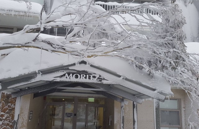 Alpine Bliss at Moritz (Hotham) - 2 under cover parks